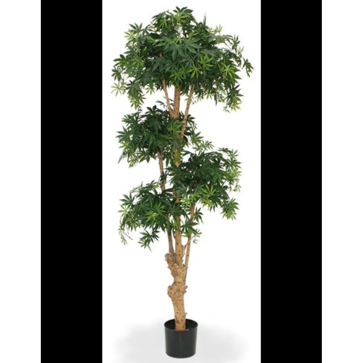 Stort kunstigt Acer Bonsai træ H170 cm - Grøn