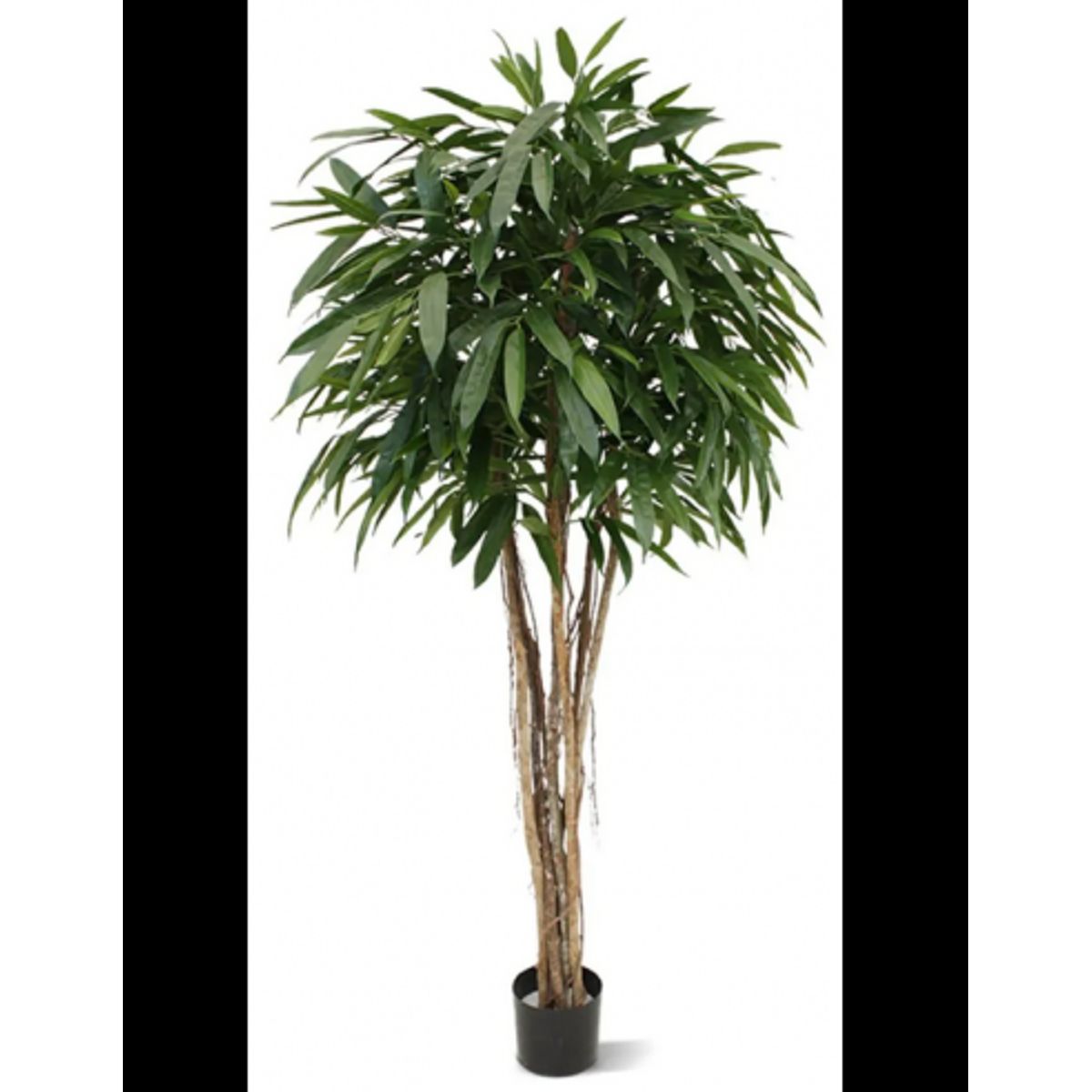 Stor kunstig Longfolia plante H180 cm - Grøn