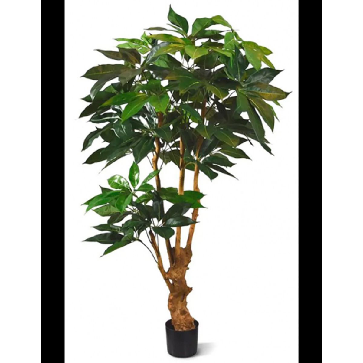 Stor kunstig Amate plante H165 cm - Grøn