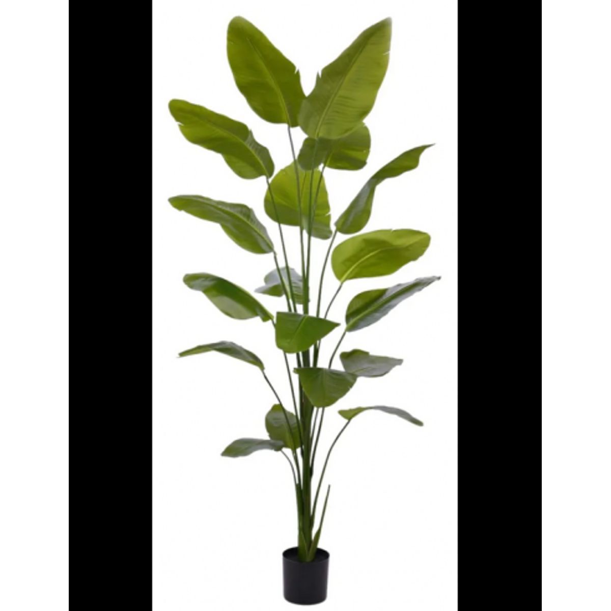 Stor kunstig Strelitzia plante H225 cm - Grøn