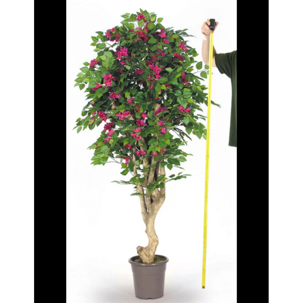 Stort kunstigt Bougainvillea træ H200 cm