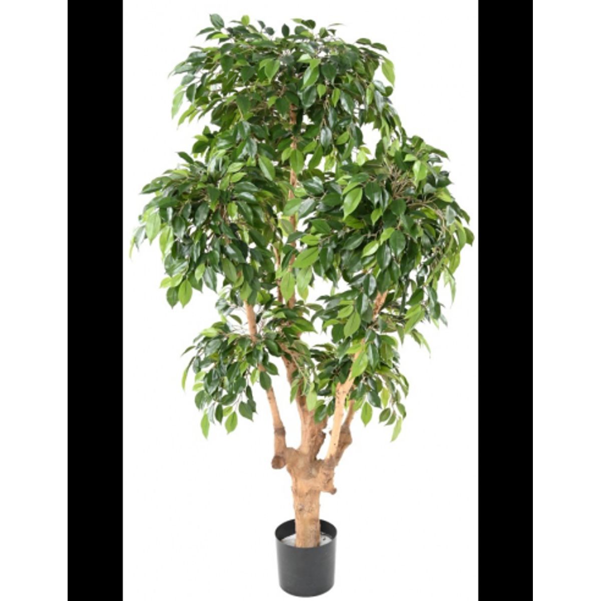 Stor kunstig Ficus plante H170 cm