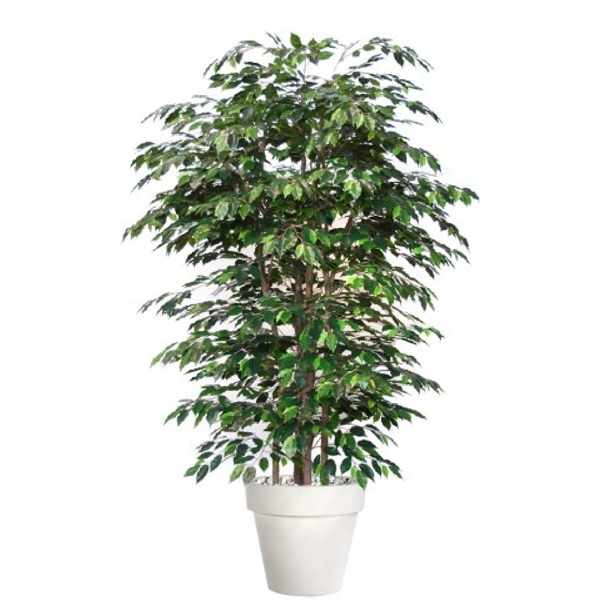 Stor kunstig Ficus Exotica plante med potte H220 cm