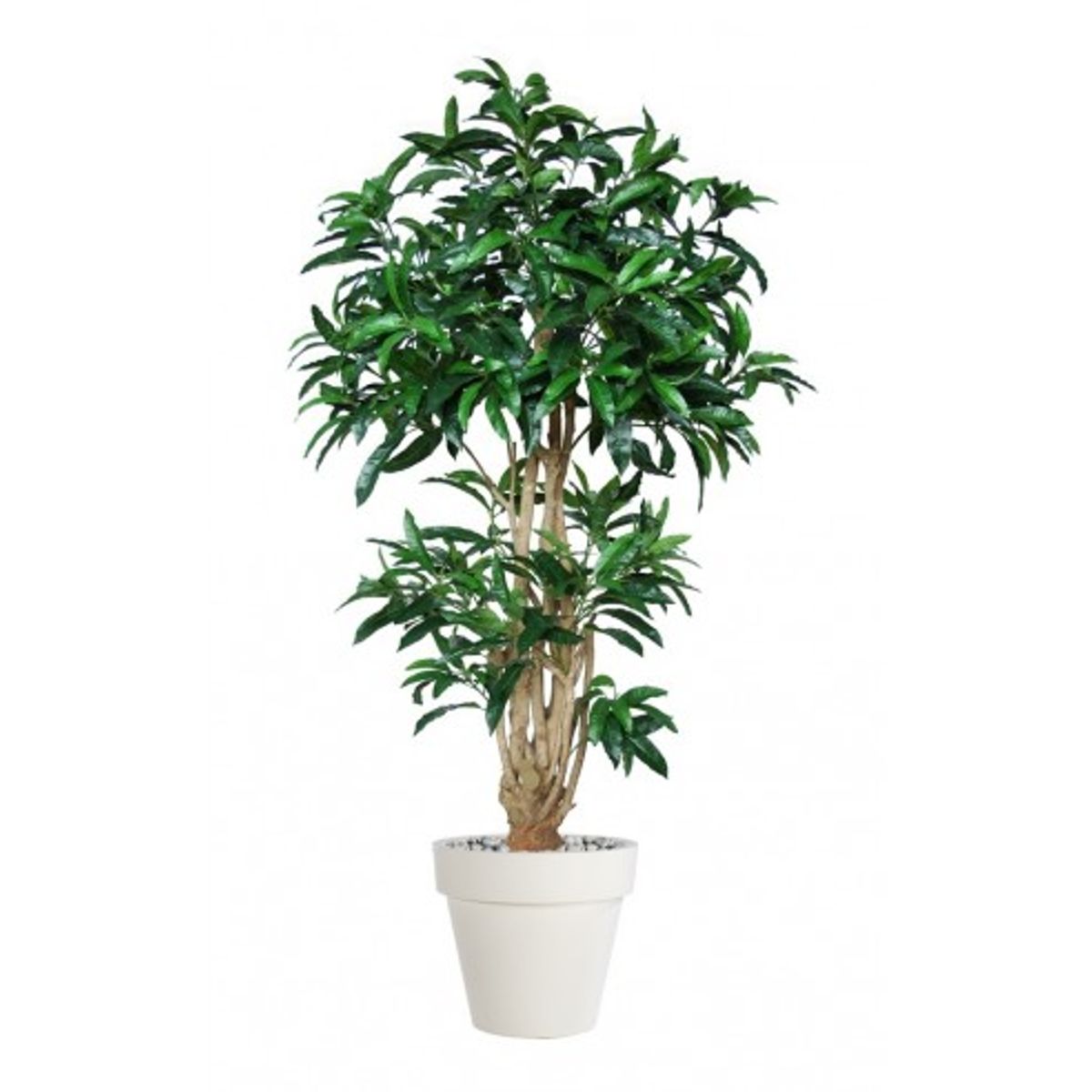 Stor kunstig Mango plante med potte H180 cm