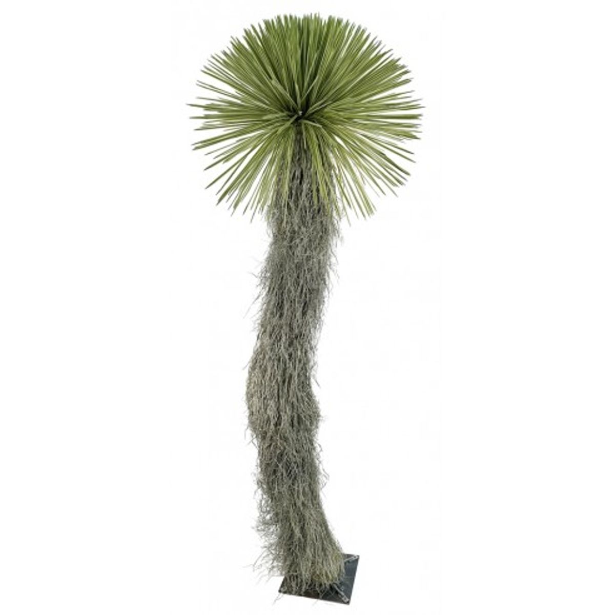 Stor kunstig Yucca palme H310 cm