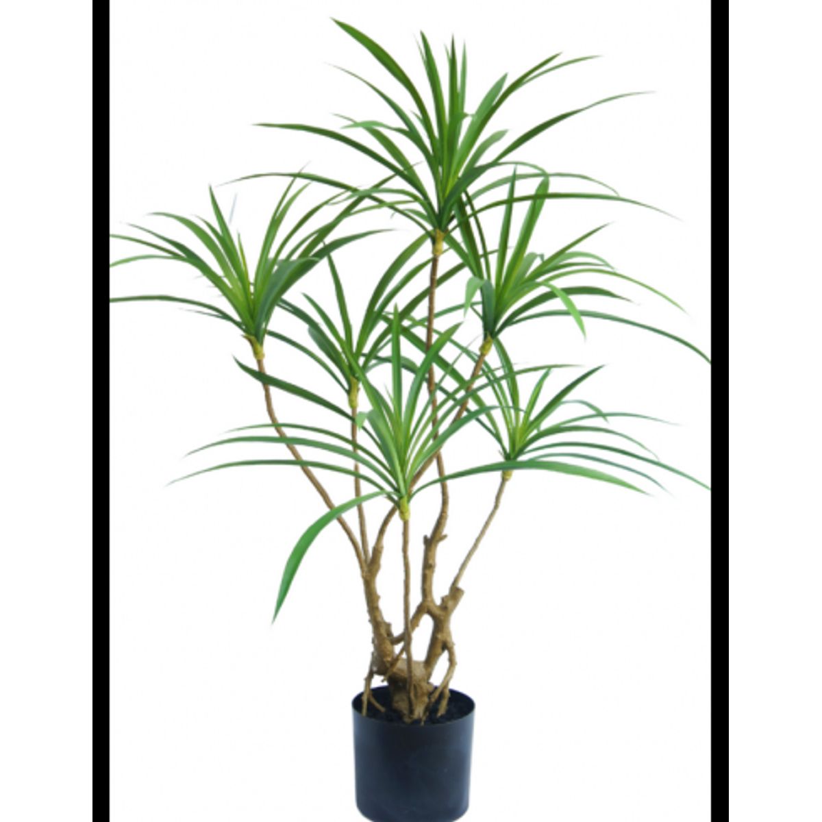 Kunstig Dracaena plante H90 cm