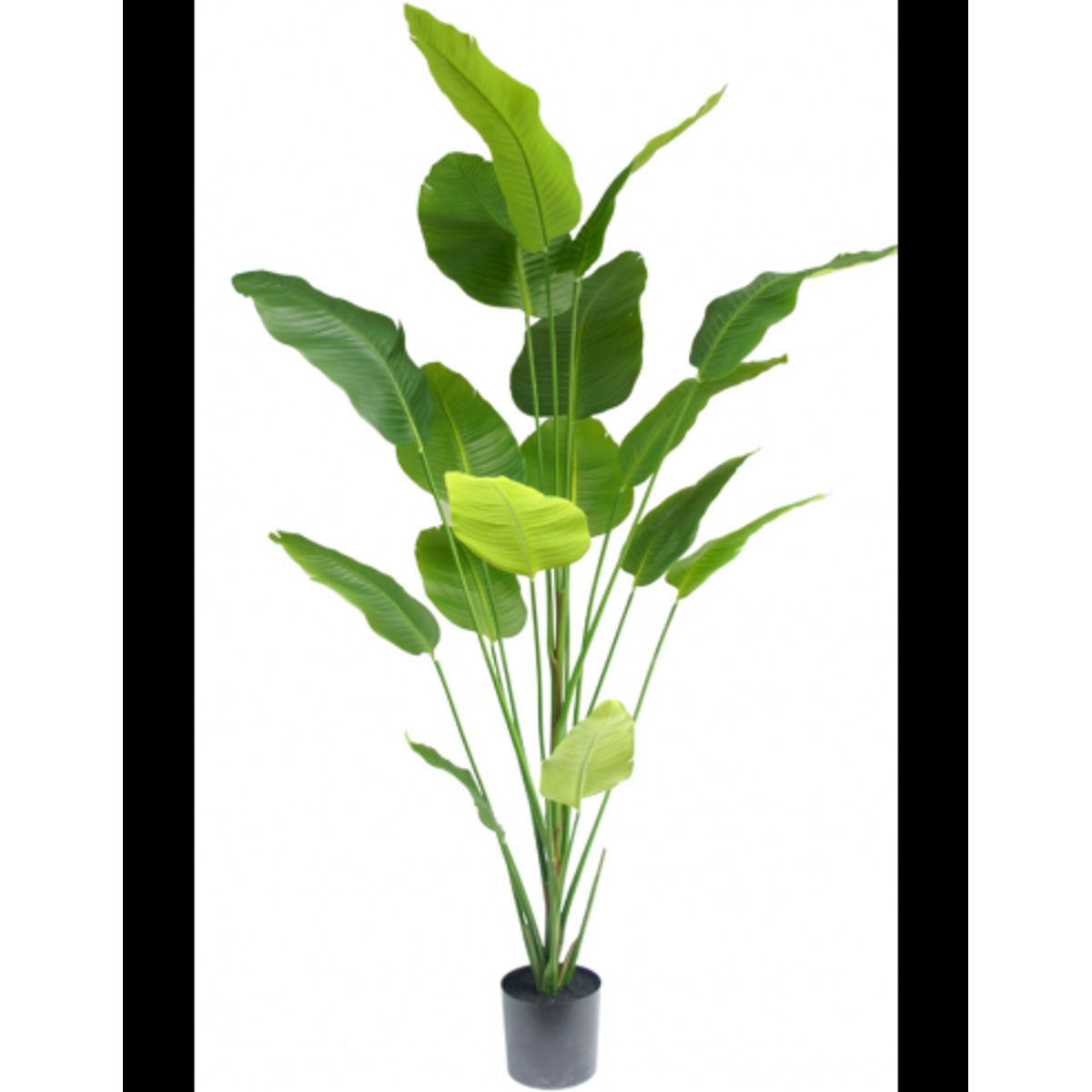 Stor kunstig Strelitzia plante H210 cm