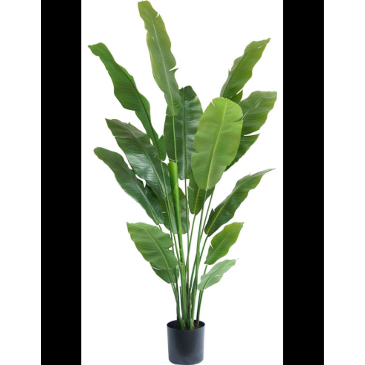 Stor kunstig deluxe Strelitzia plante H180 cm