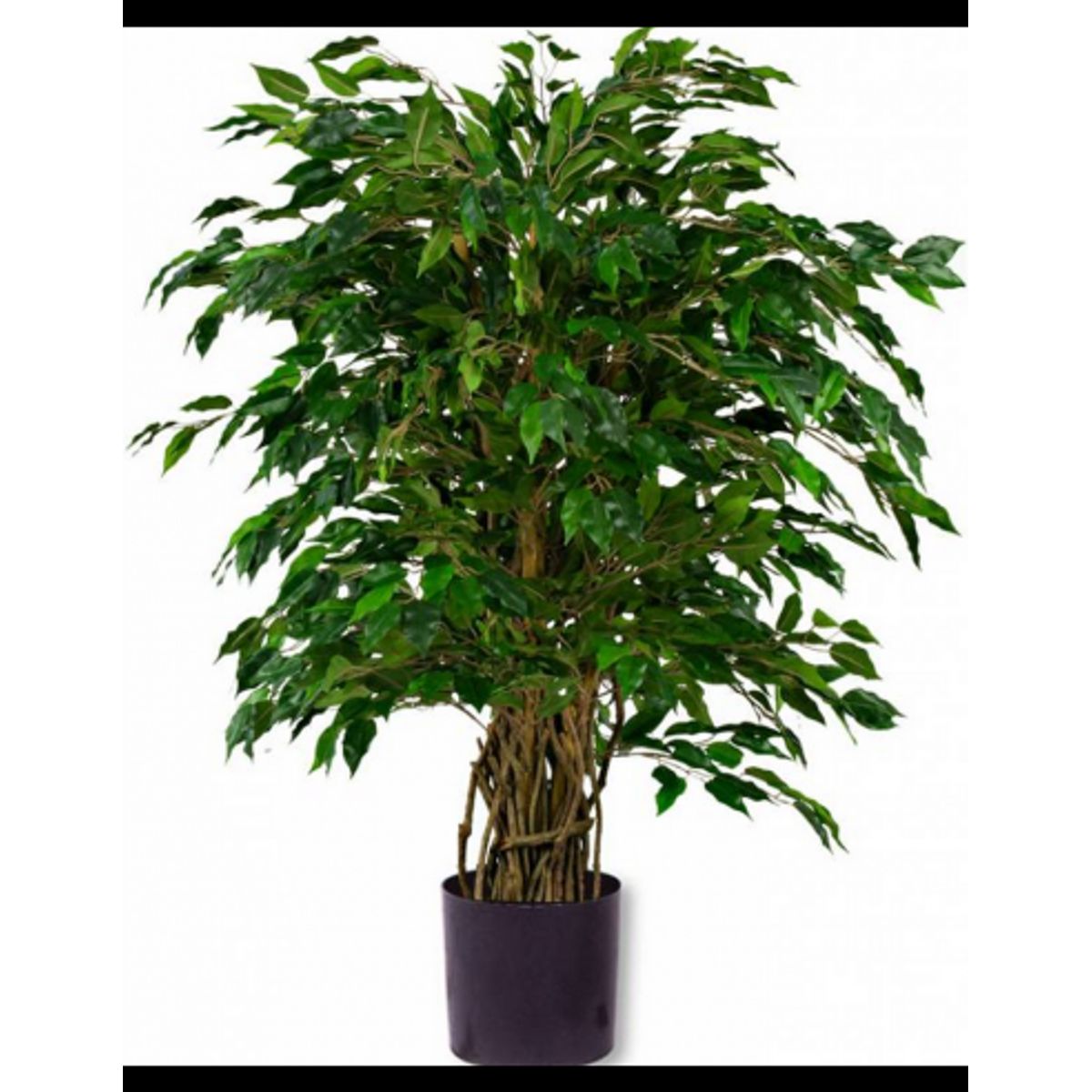 Stor kunstig Ficus Liana plante H120 cm