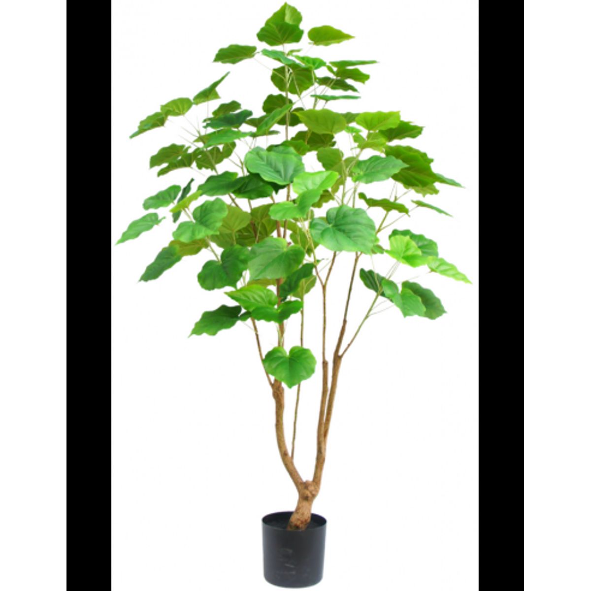 Kunstigt Ficus træ H150 cm