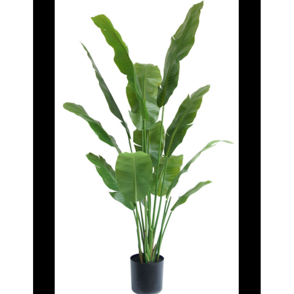 Stor kunstig deluxe Strelitzia plante H165 cm