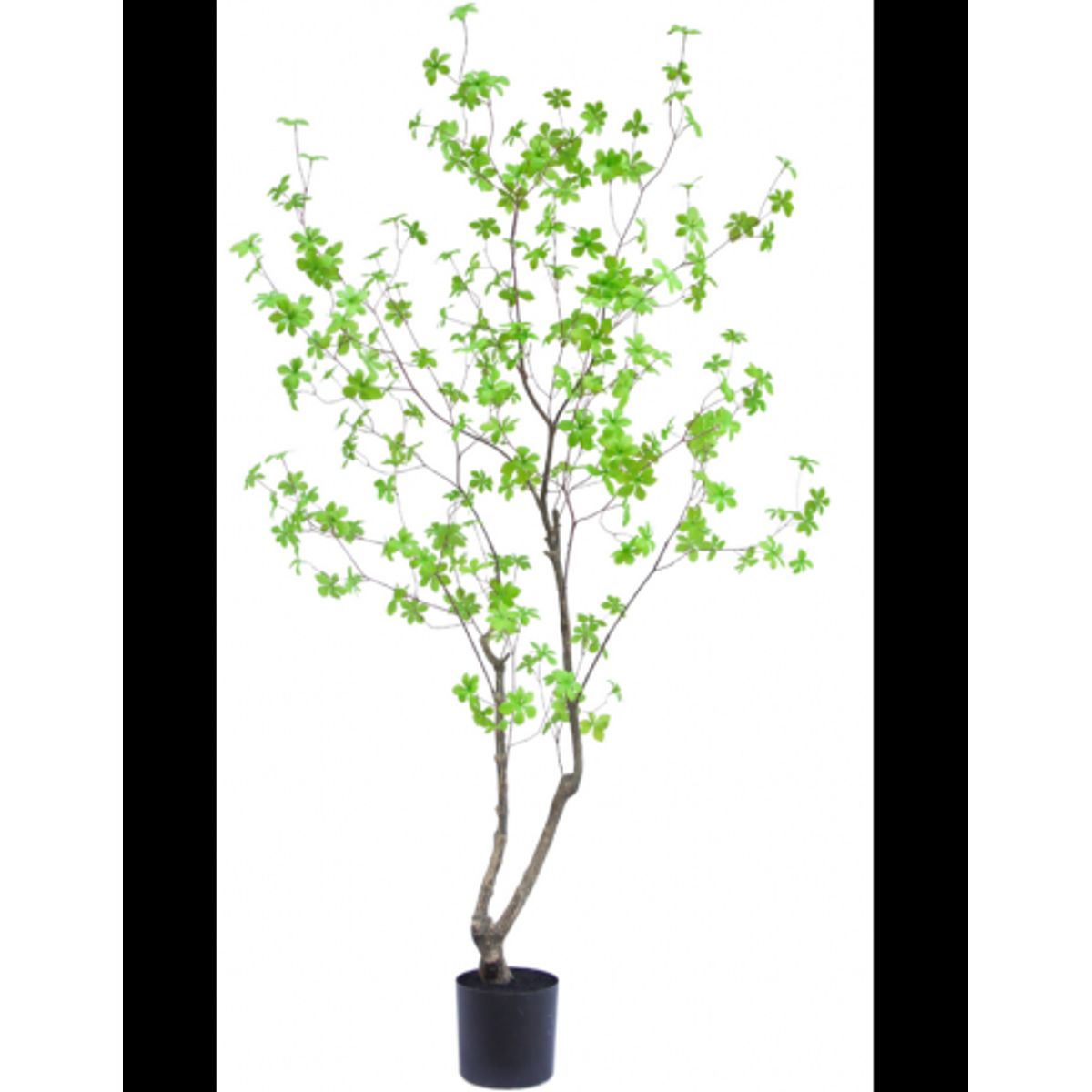 Kunstigt Enkianthus træ H180 cm