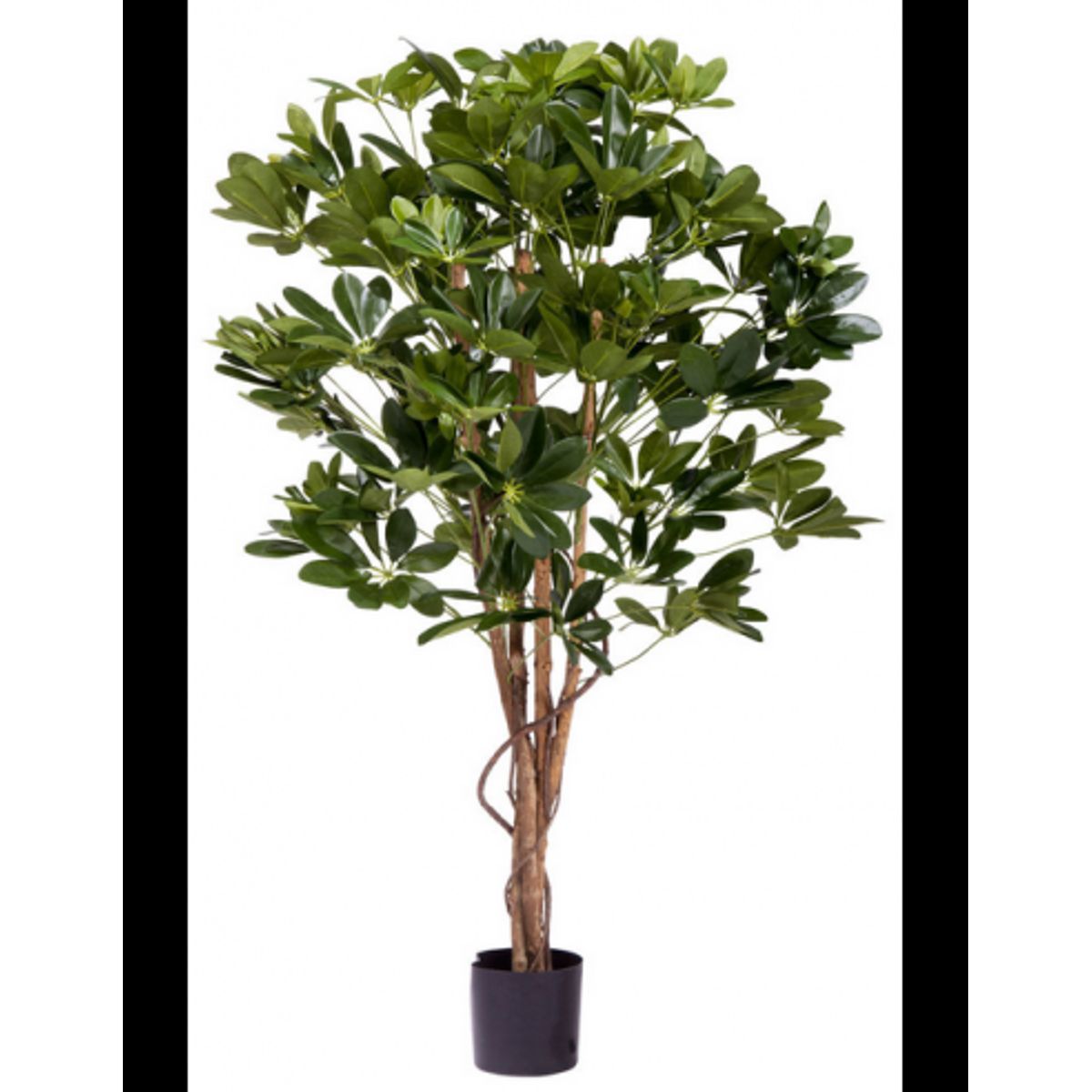 Stor kunstig Schefflera plante H120 cm