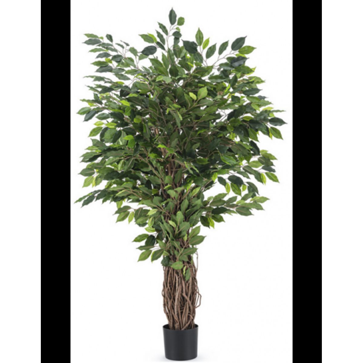 Stor kunstig Ficus Liana plante H150 cm