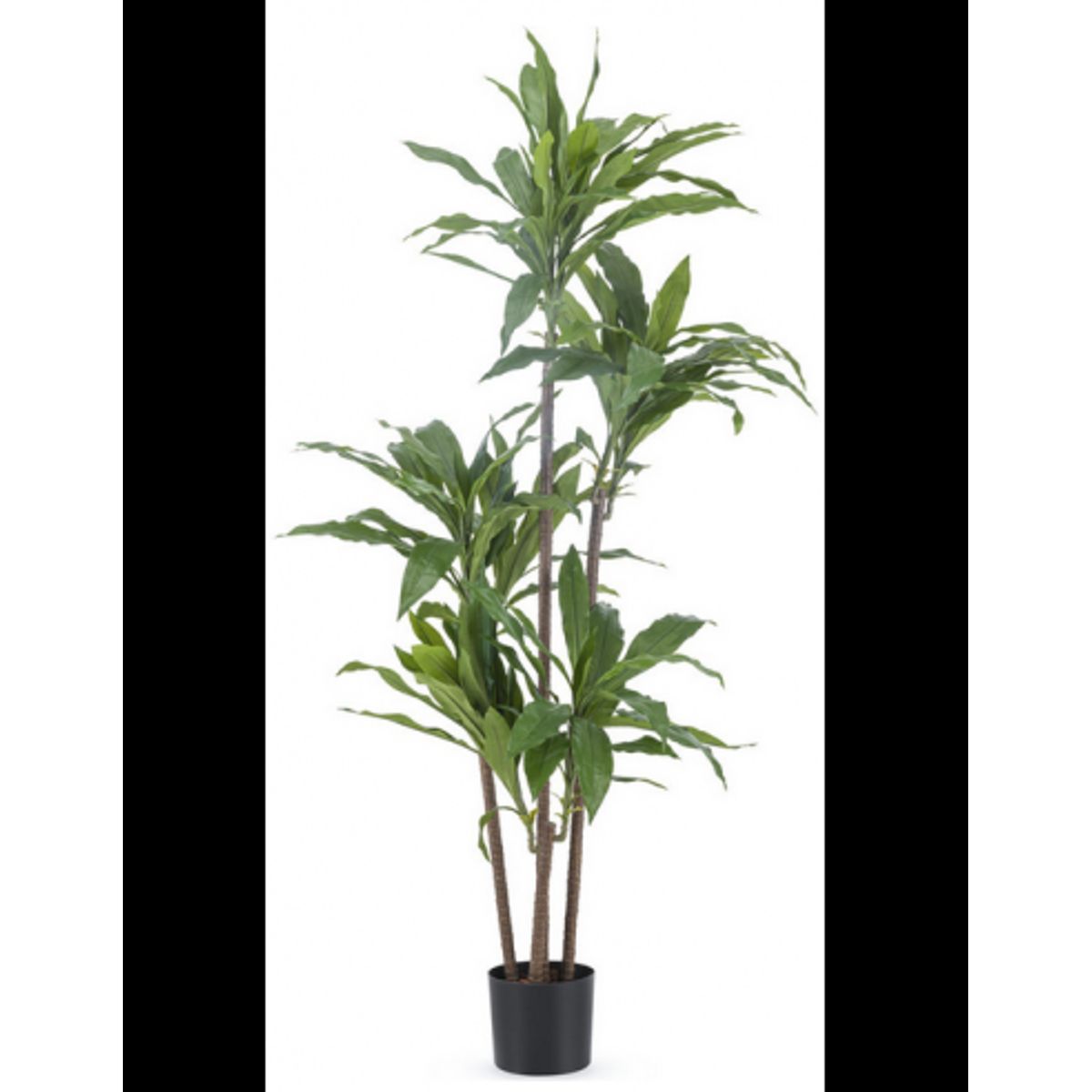 Kunstig Dracaena Fragnans plante H150 cm