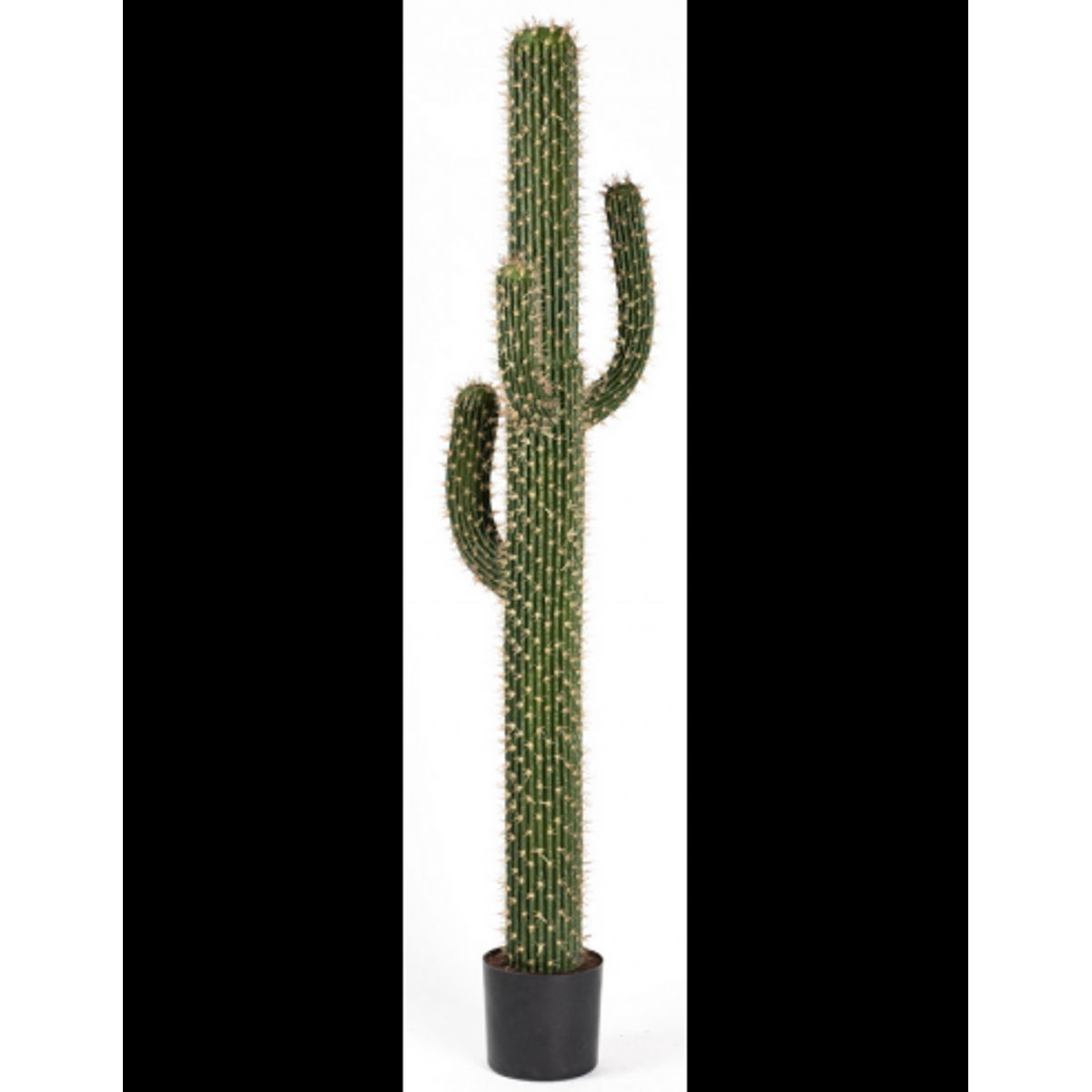 Kunstig Euphorbia kaktus H167 cm