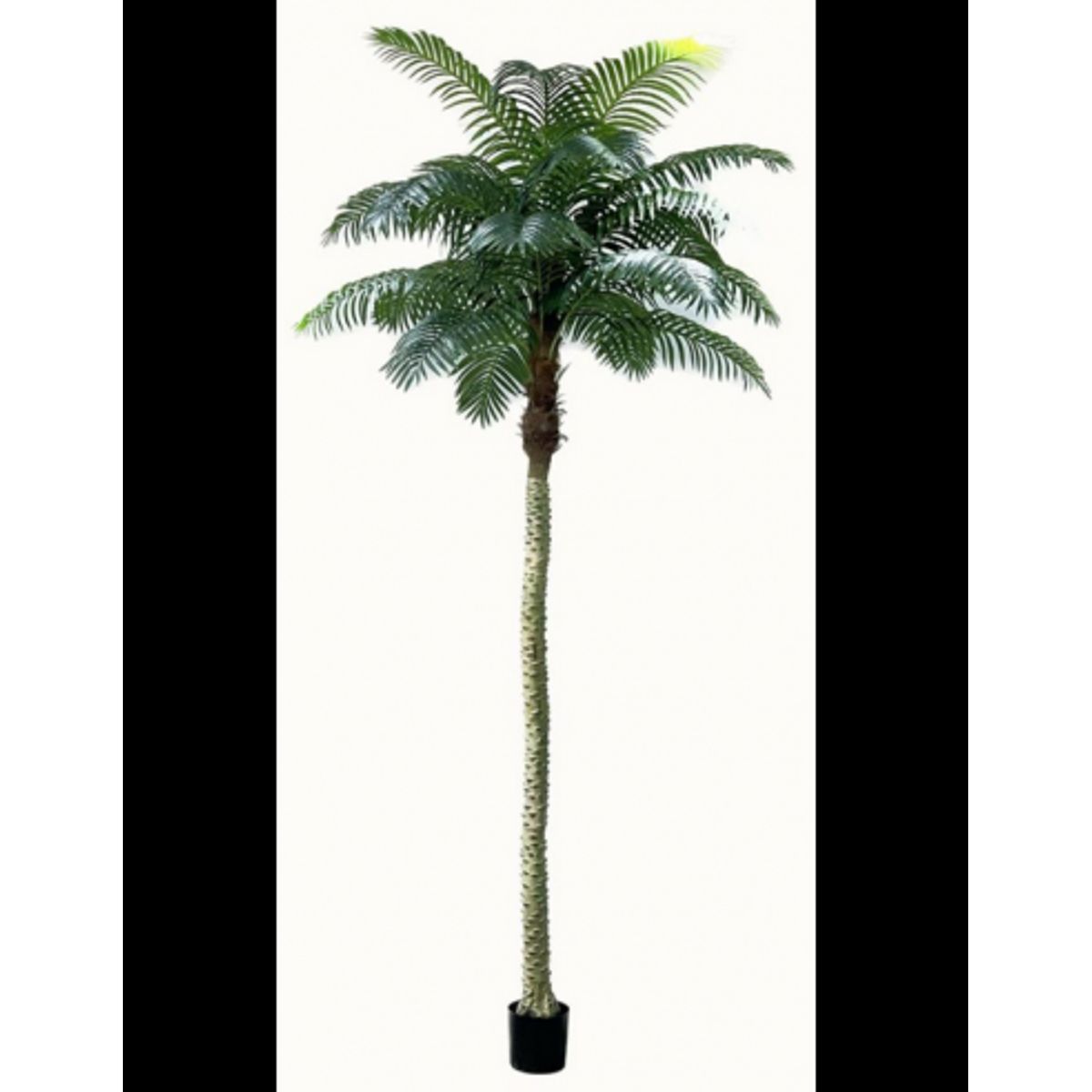 Kunstig Robellini palme H350 cm