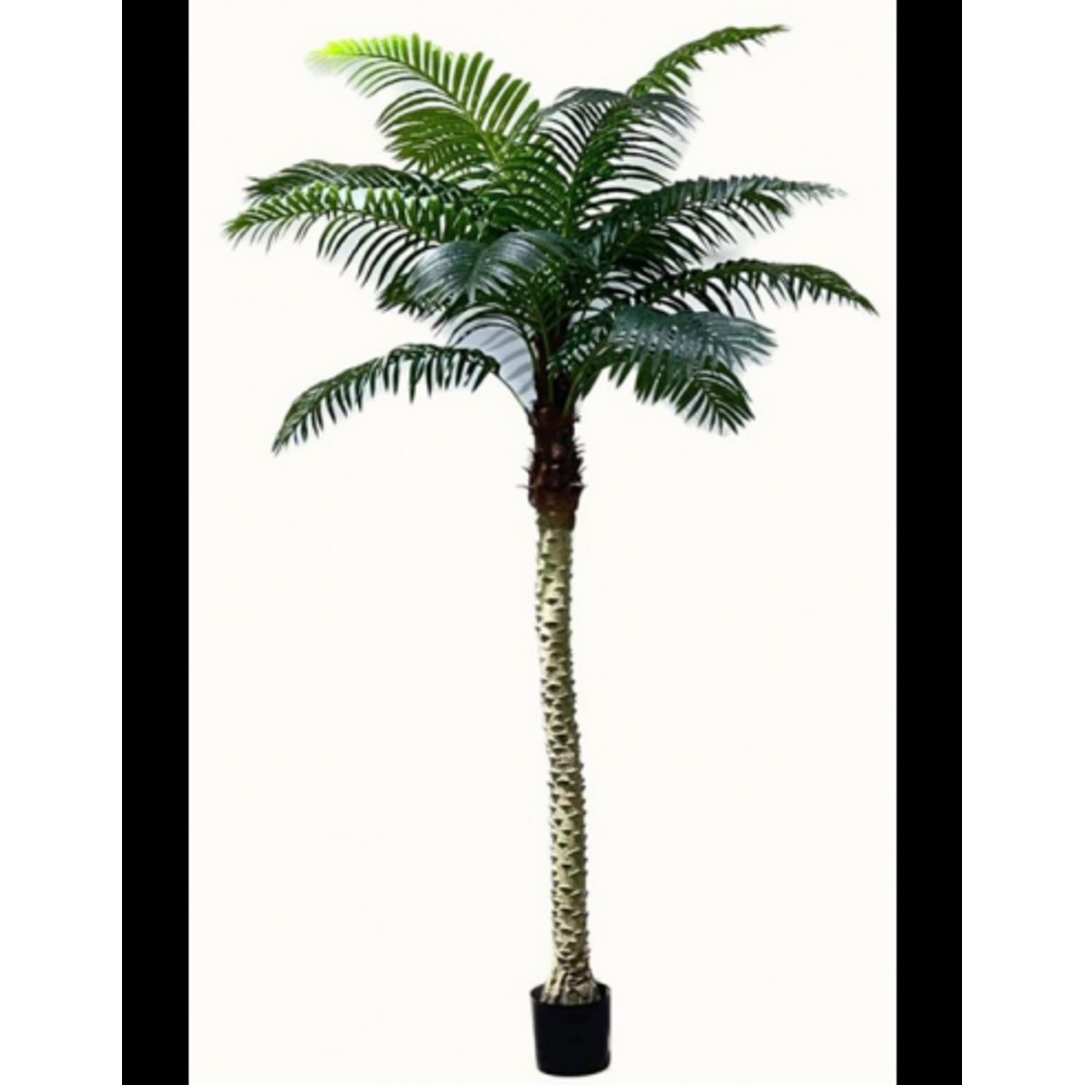 Kunstig Robellini palme H250 cm