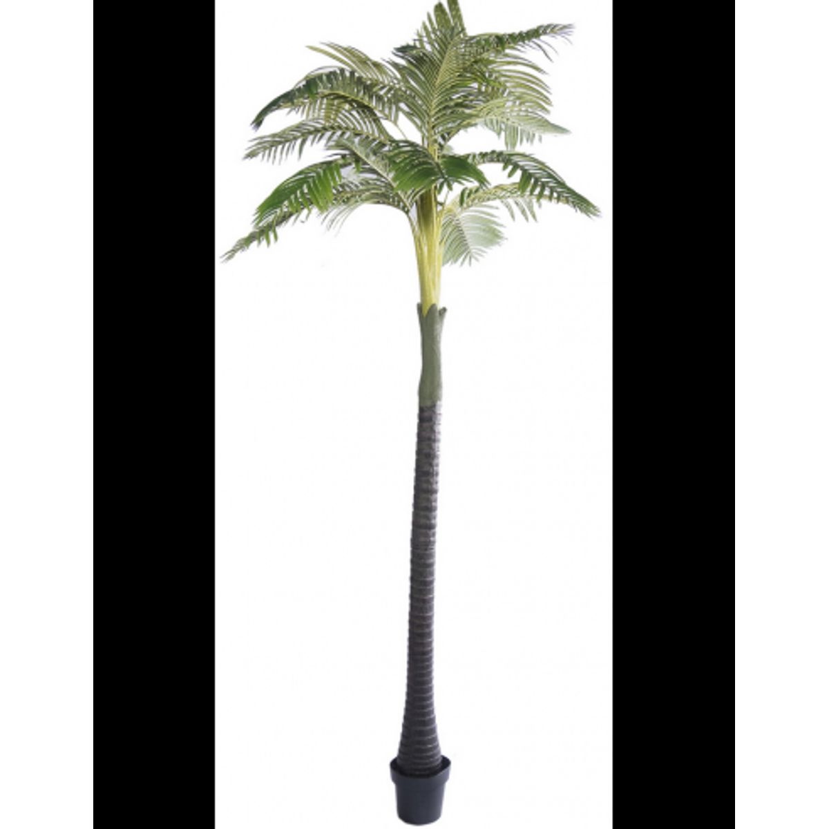 Kunstig Arborechentis palme H320 cm