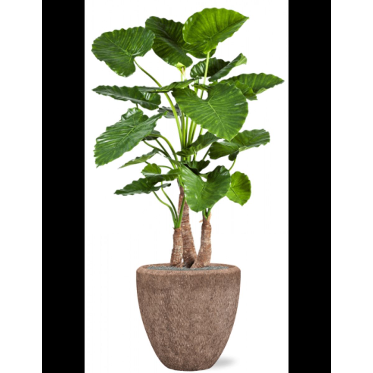 Sammenplantning med krukke og kunstig Alocasia Calidora plante H167 cm