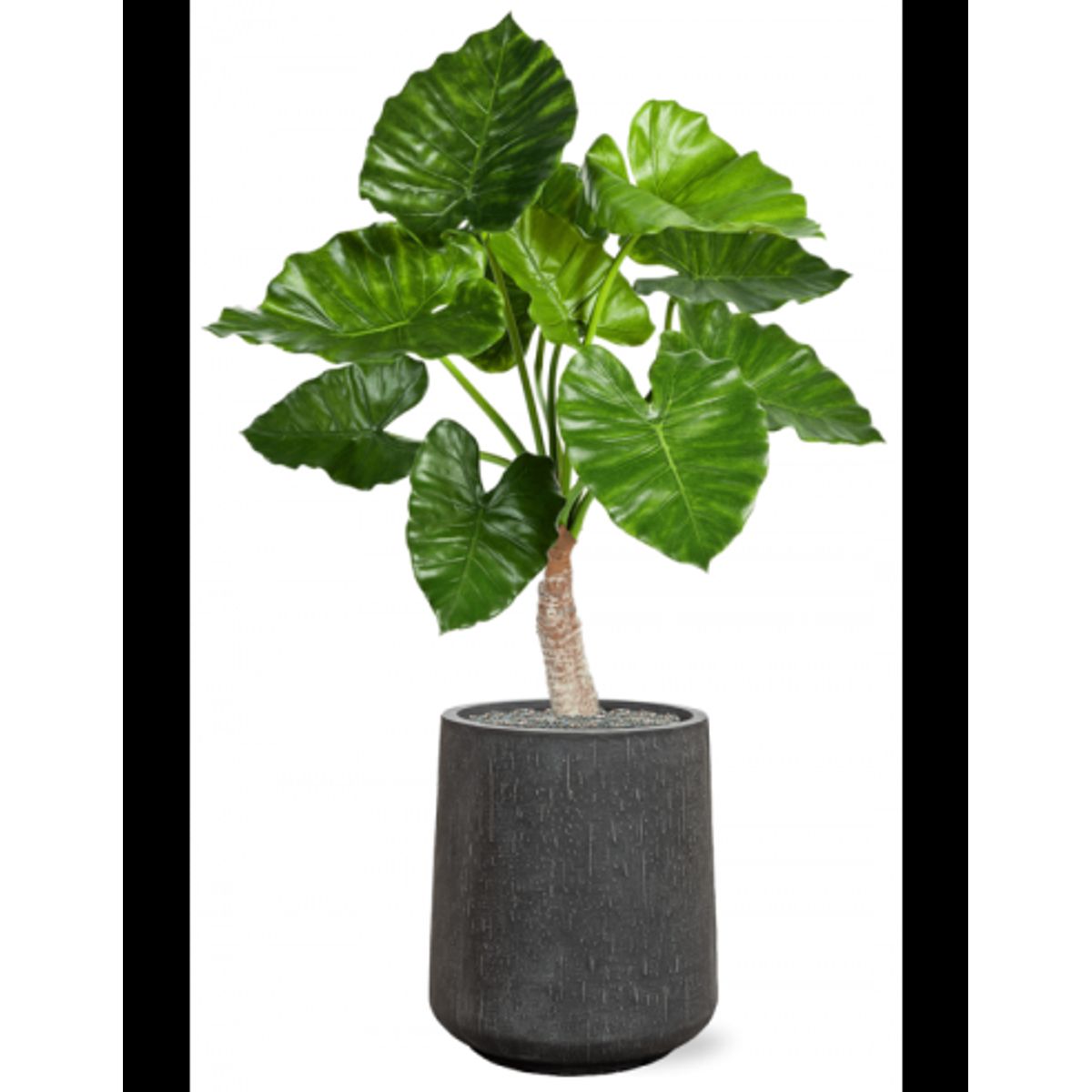 Sammenplantning med krukke og kunstig Alocasia Calidora plante H119 cm