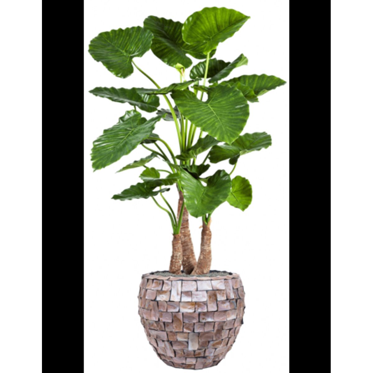 Sammenplantning med krukke og kunstig Alocasia Calidora plante H162 cm