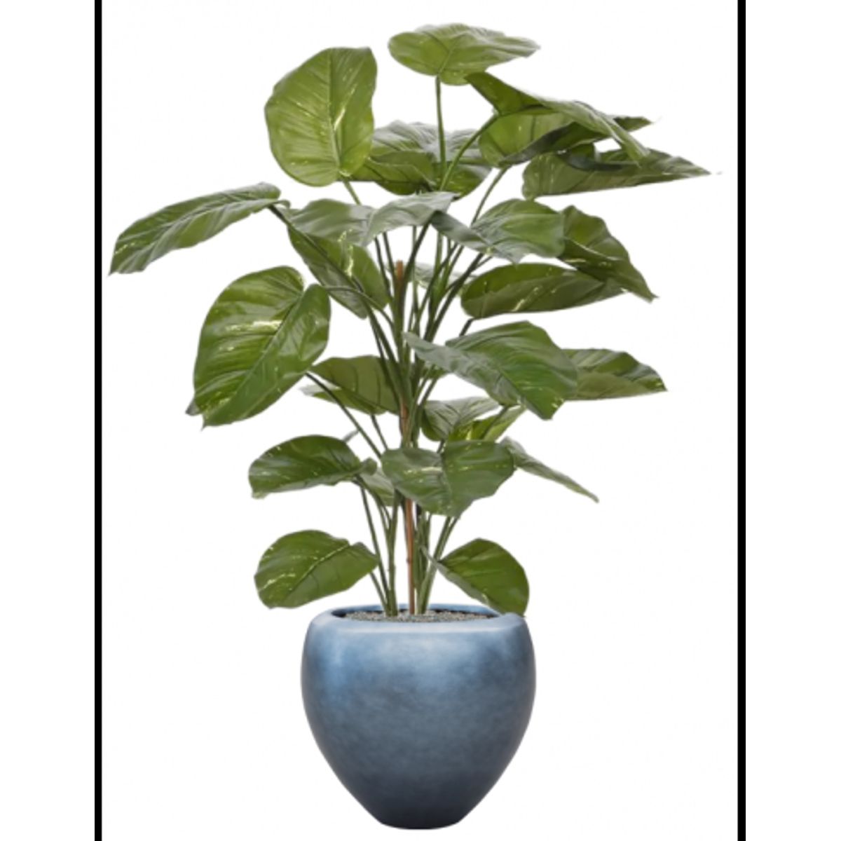 Sammenplantning med krukke og kunstig Scindapsus Aureum plante H161 cm