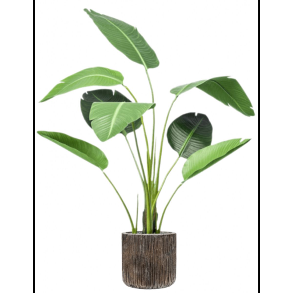 Sammenplantning med krukke og kunstig Strelitzia plante H150 cm