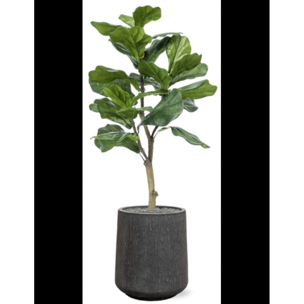 Sammenplantning med krukke og kunstig Ficus Lyrata plante H129 cm