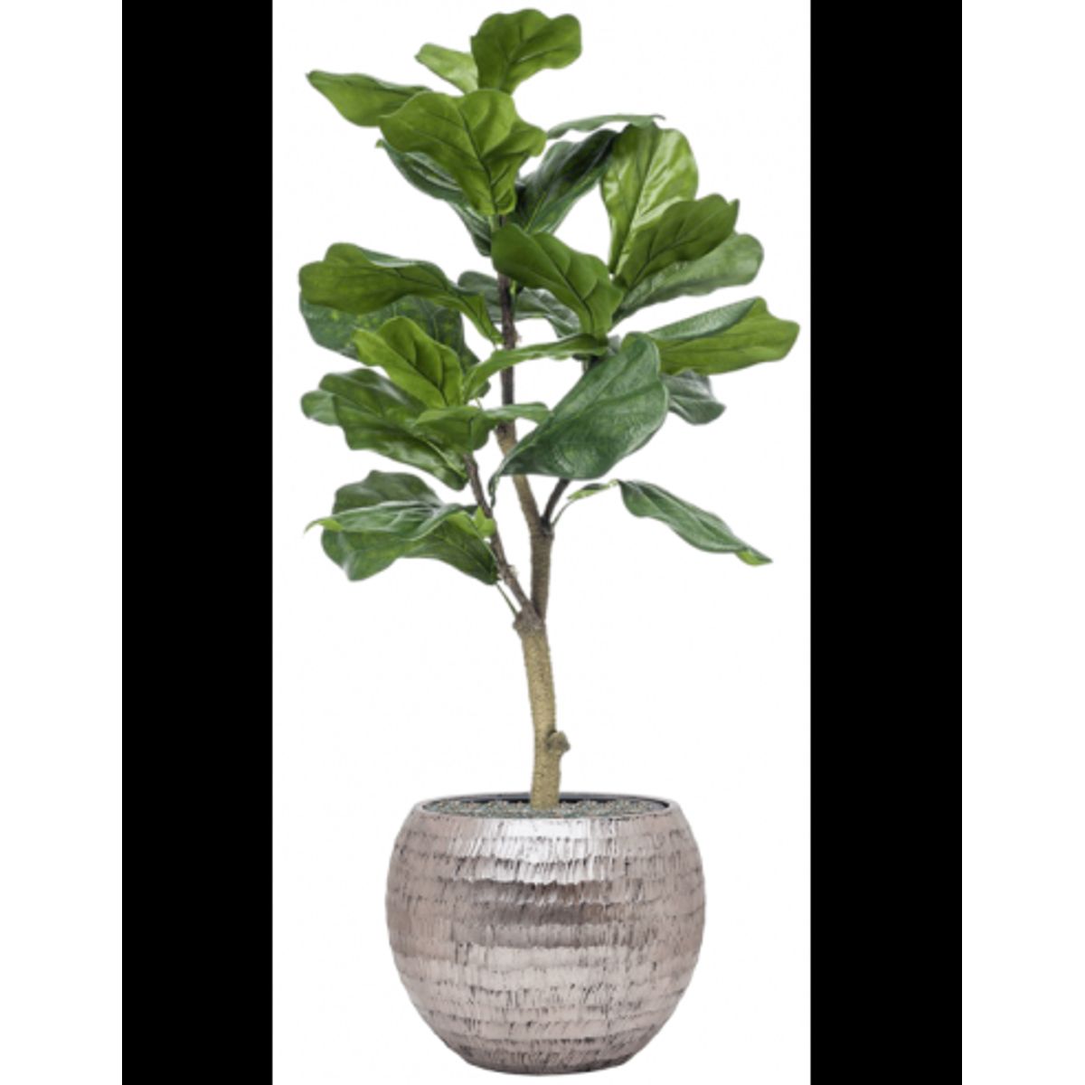 Sammenplantning med krukke og kunstig Ficus Lyrata plante H120 cm