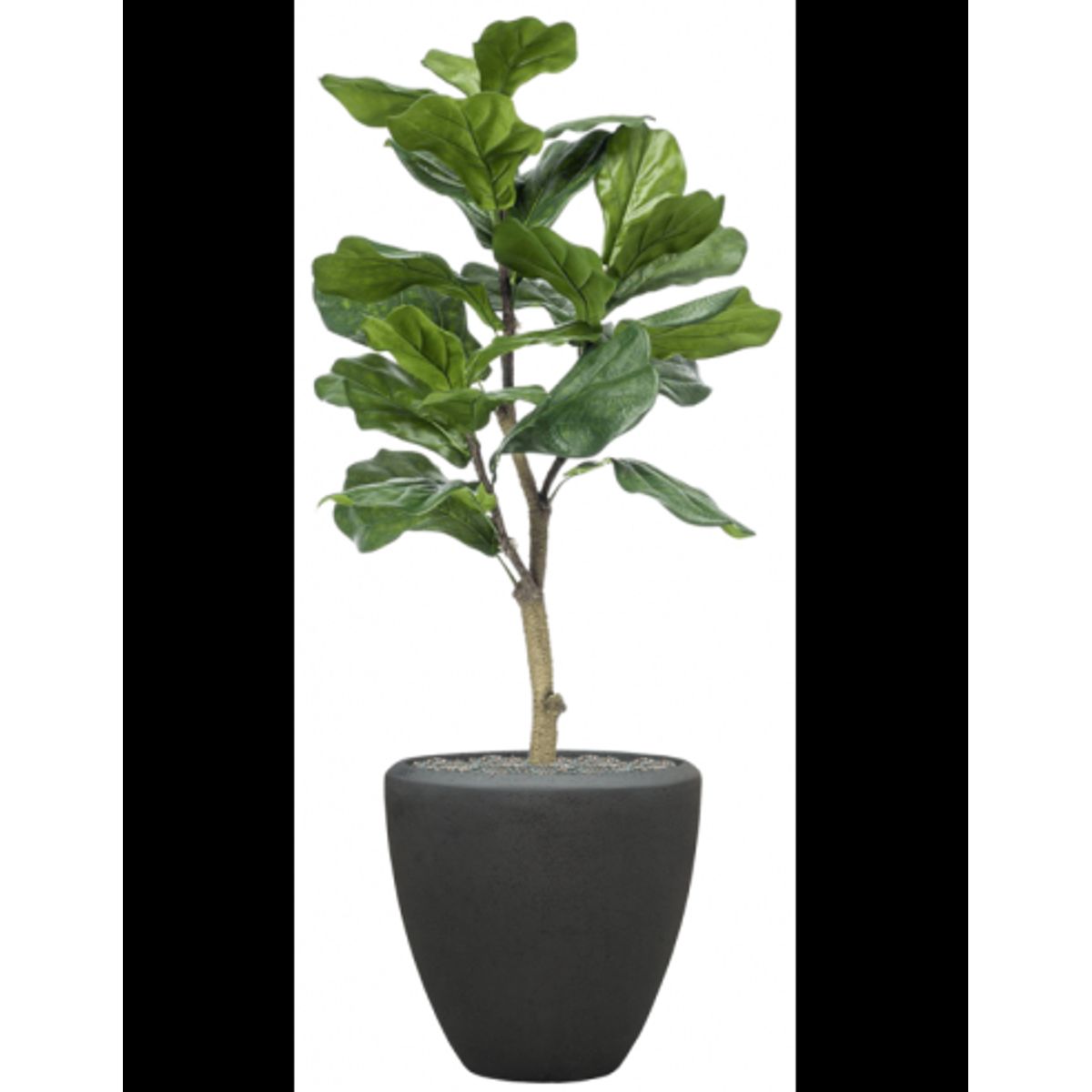 Sammenplantning med krukke og kunstig Ficus Lyrata plante H128 cm