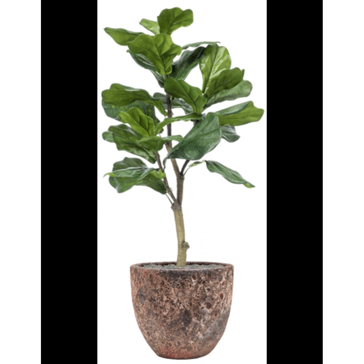 Sammenplantning med krukke og kunstig Ficus Lyrata plante H122 cm