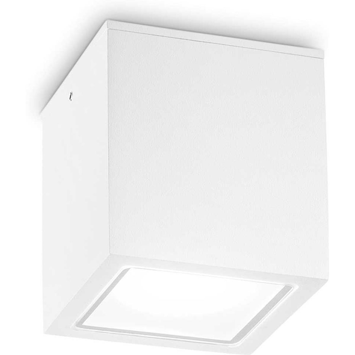 Techo, Udendørs loftslampe, GU10 max 1 x 20W, GU10, hvid, metal, glas, L150xH160xB150mm