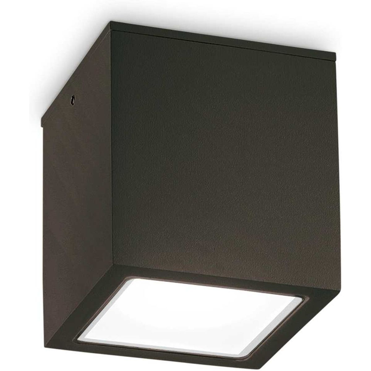 Techo, Udendørs loftslampe, GU10 max 1 x 20W, GU10, sort, metal, glas, L150xH160xB150mm