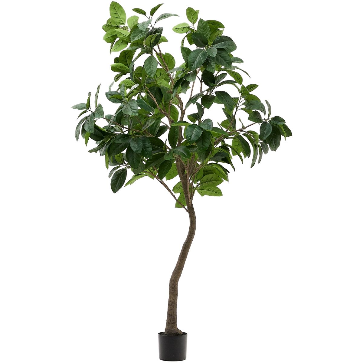 Ficus, Kunstig plante, grøn, H210x60x60 cm