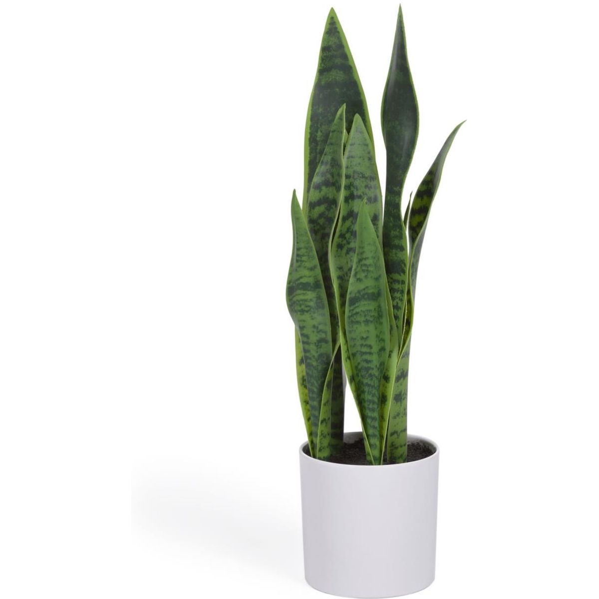 Sansevieria, Kunstig plante, hvid, H55x18x19 cm