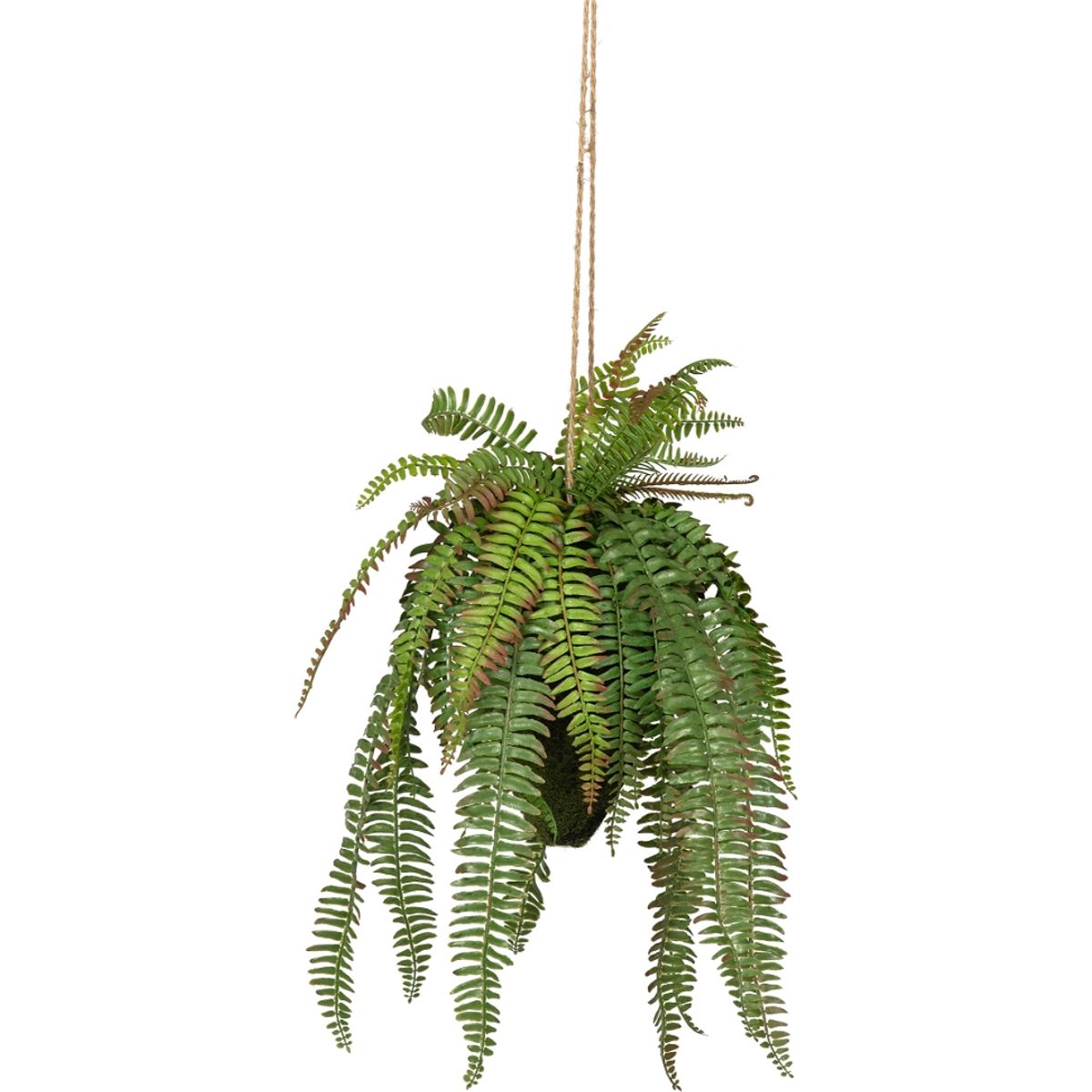 Fern, Kunstig plante, grøn, H58x30x30 cm