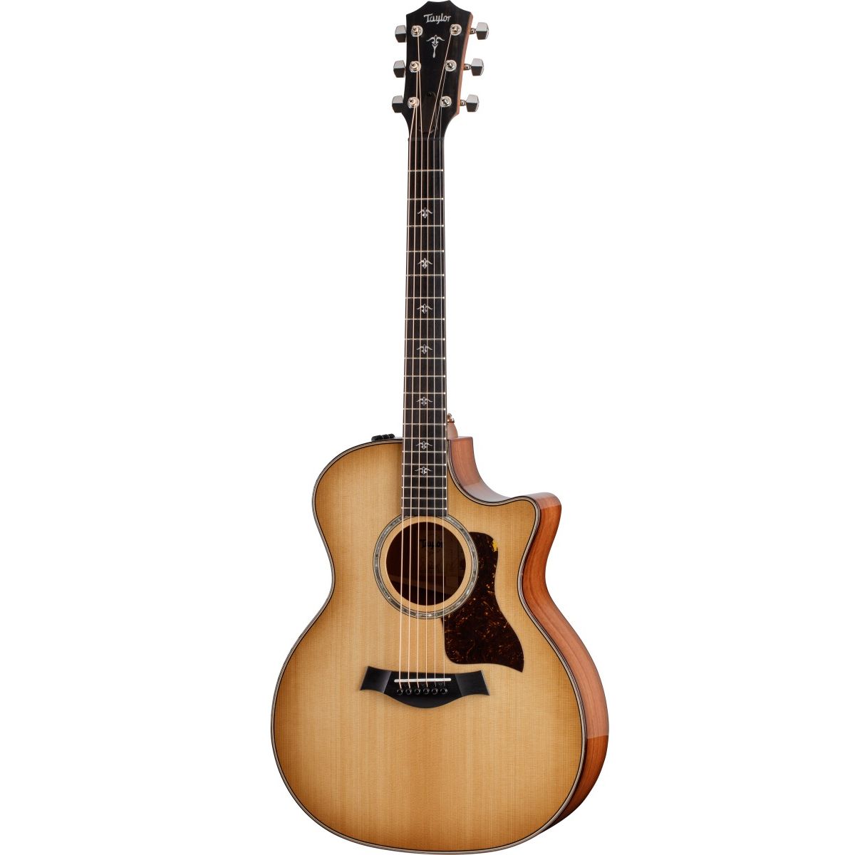 Taylor 514CE-Urban Ironbark/Torrified Sitka western-guitar