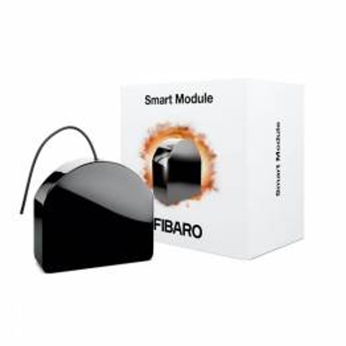 Fibaro Smart Module