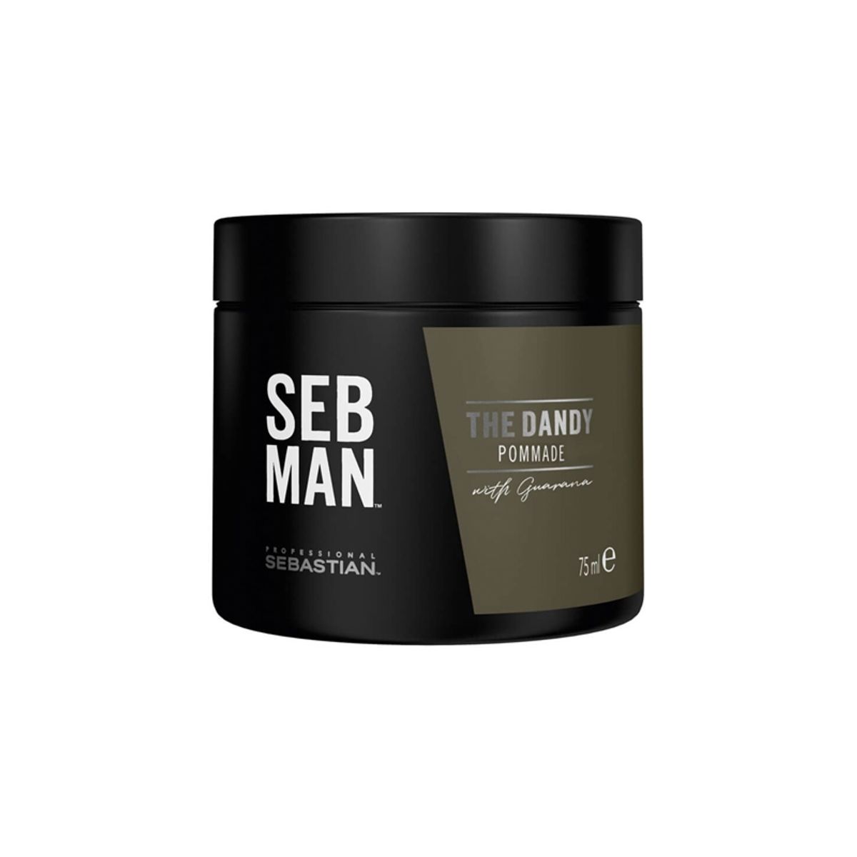 Sebastian SEB MAN The Dandy Pomade (75 ml)