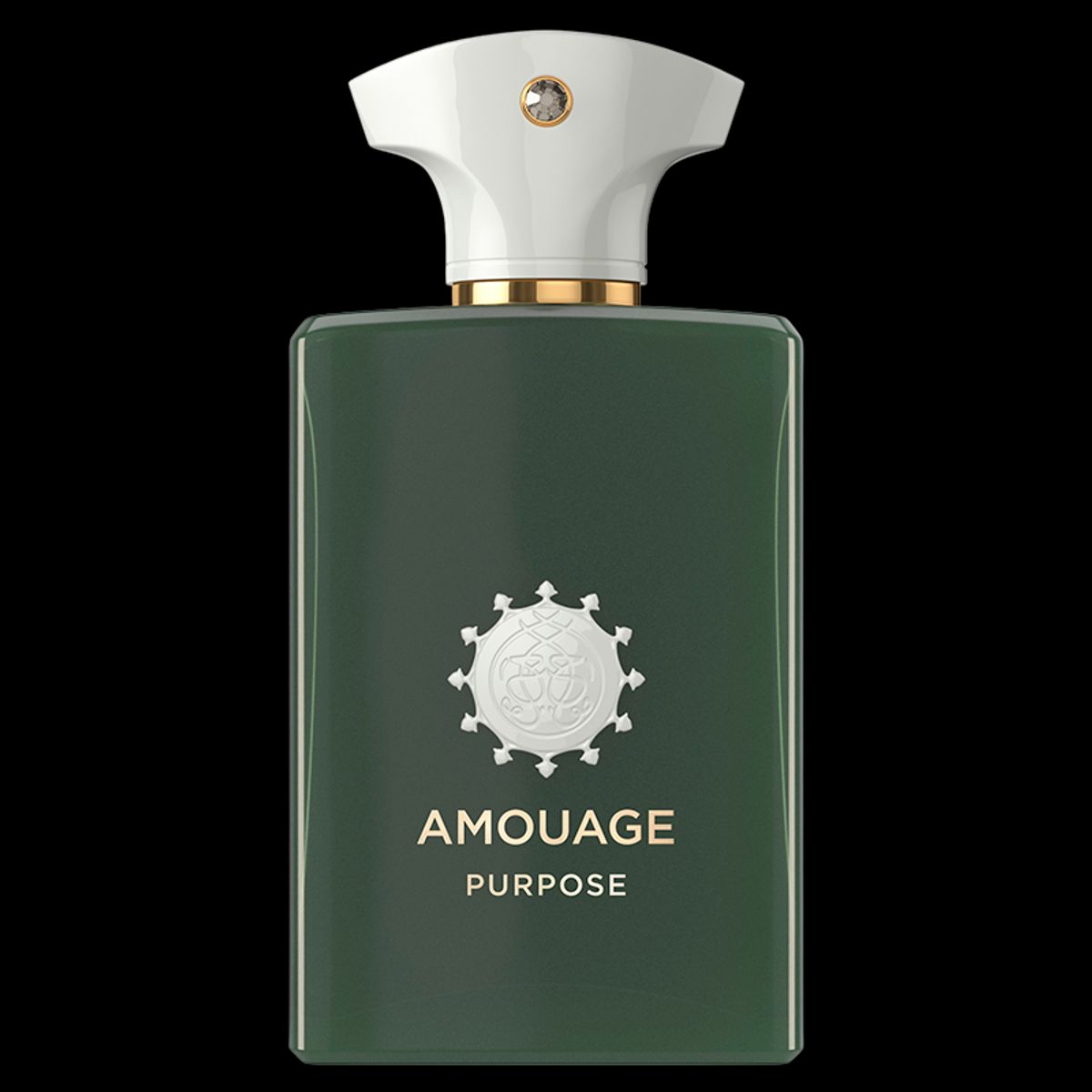 Amouage Purpose Man EDP (100 ml)