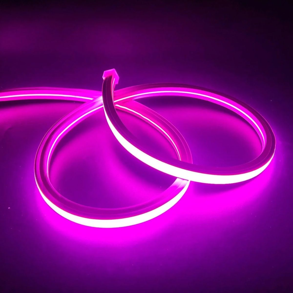 AnyCut Neon Flex 10x10 Lilla LED strip - 5m, 8W/m, 12V, Ingen klippeafstand - Kulør : Lilla