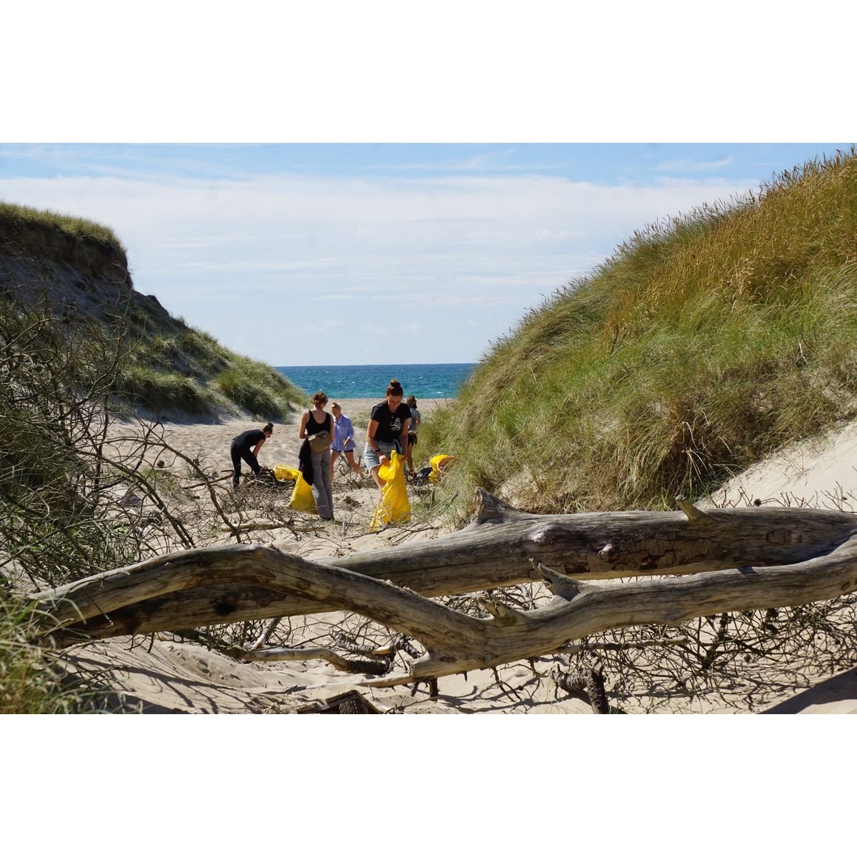 Velgørenhed - Få fjernet 14 kg havaffald