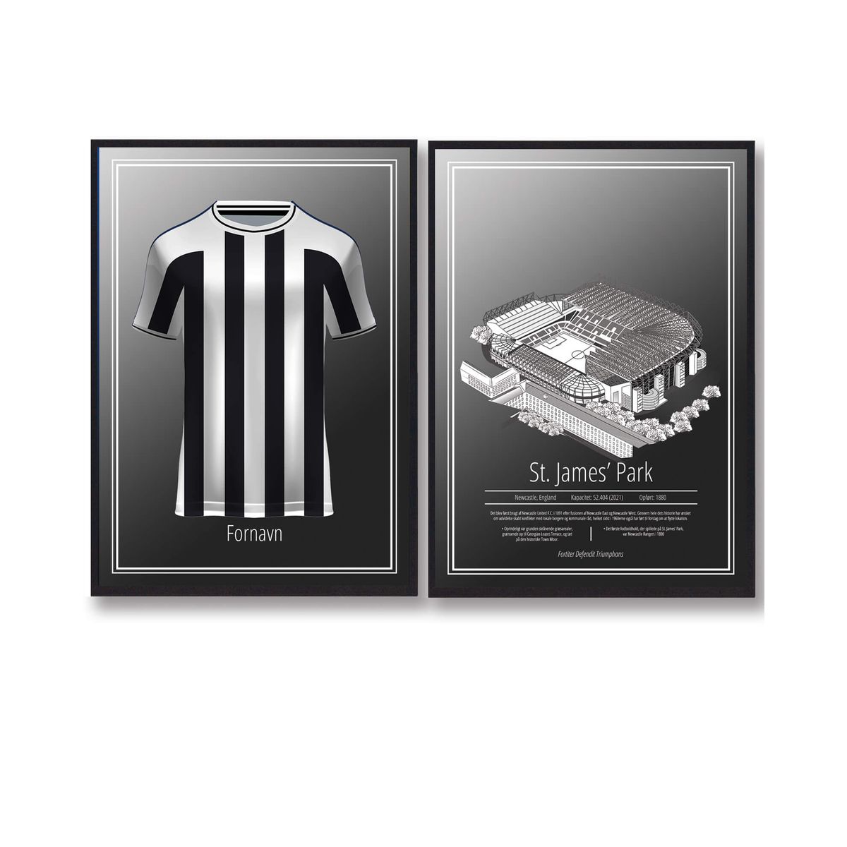 Newcastle - Trøje og Stadion plakatsæt (Størrelse: M - 30x40cm)