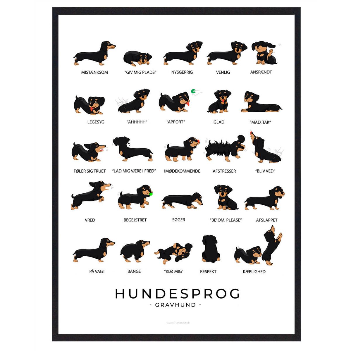 Gravhund sort plakat - Hundesprog (Størrelse: L - 50x70cm (B2))