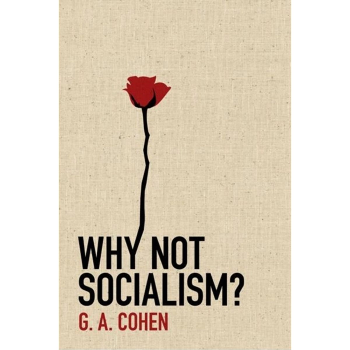 Why Not Socialism?