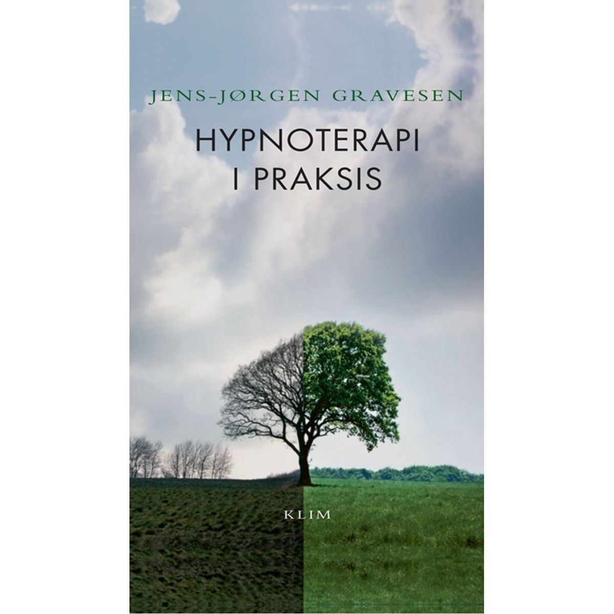 Hypnoterapi i praksis