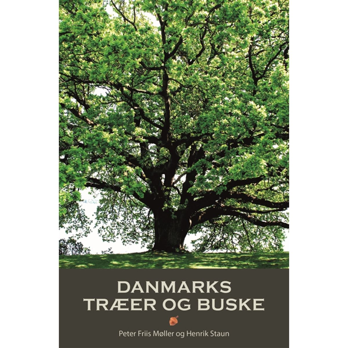 DANMARKS TRÆER OG BUSKE