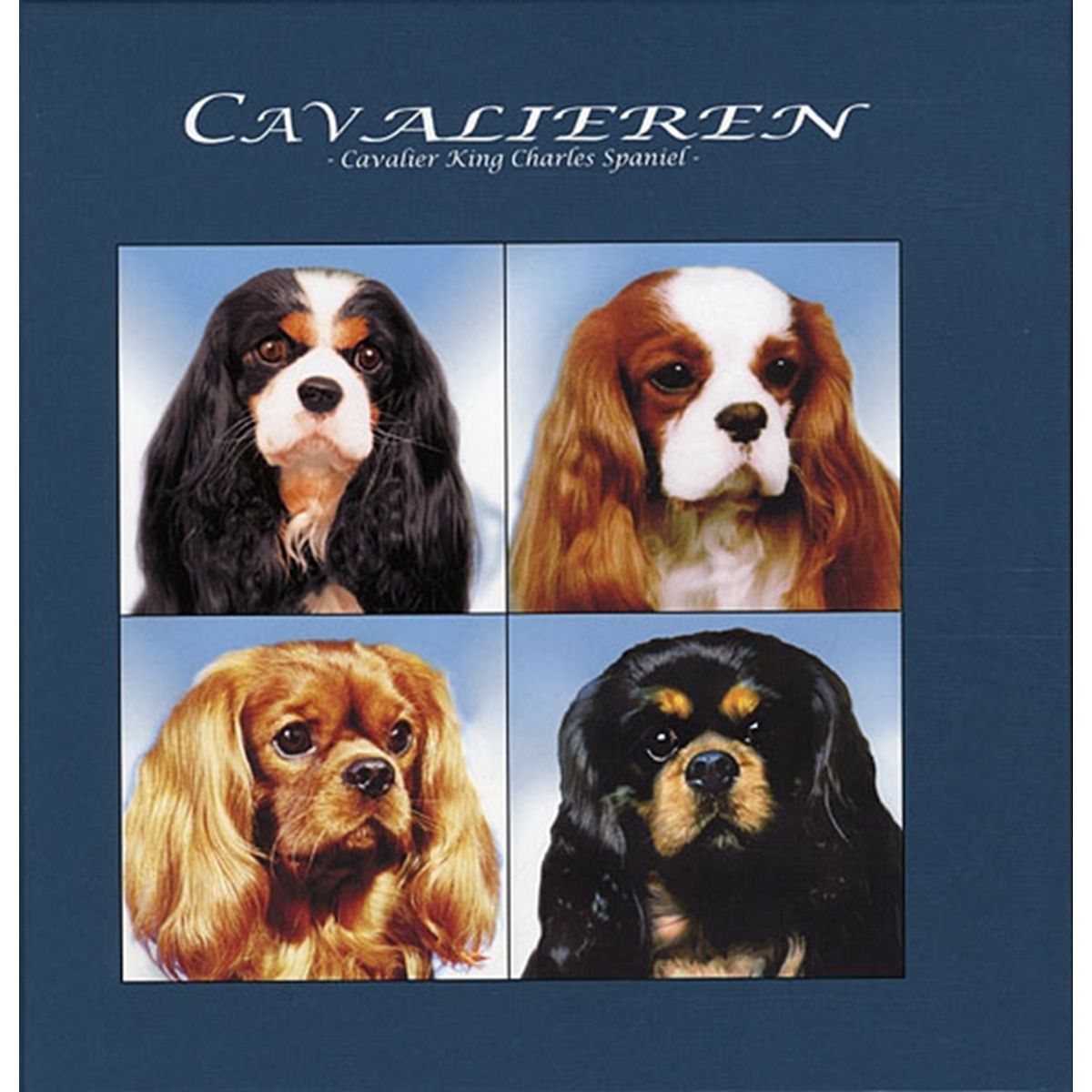 Cavalieren