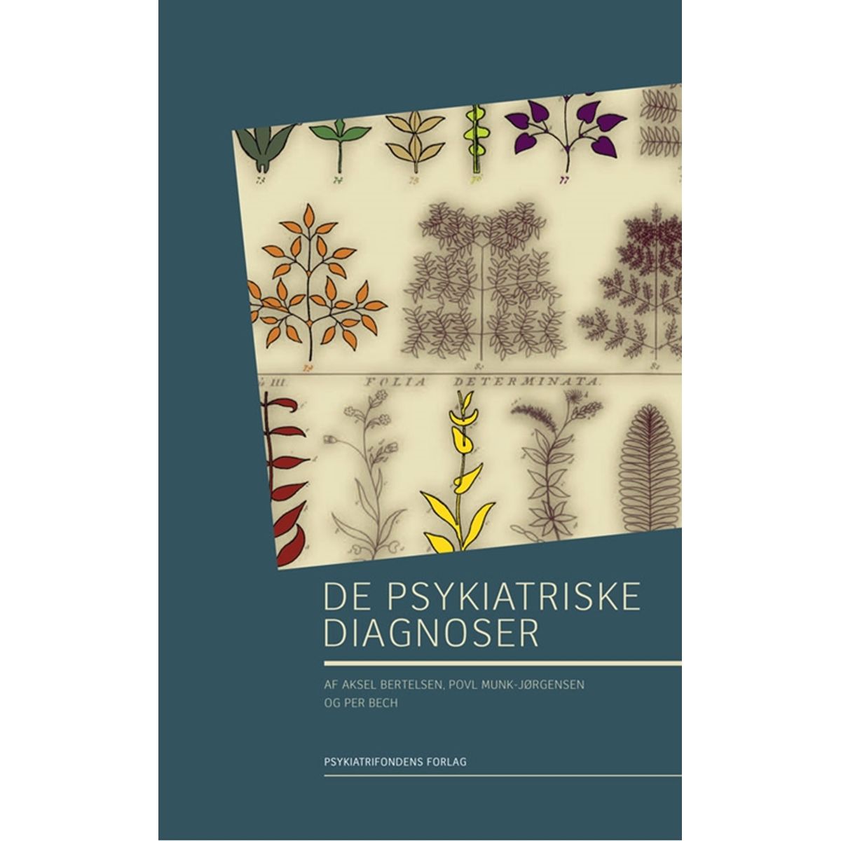 De psykiatriske diagnoser